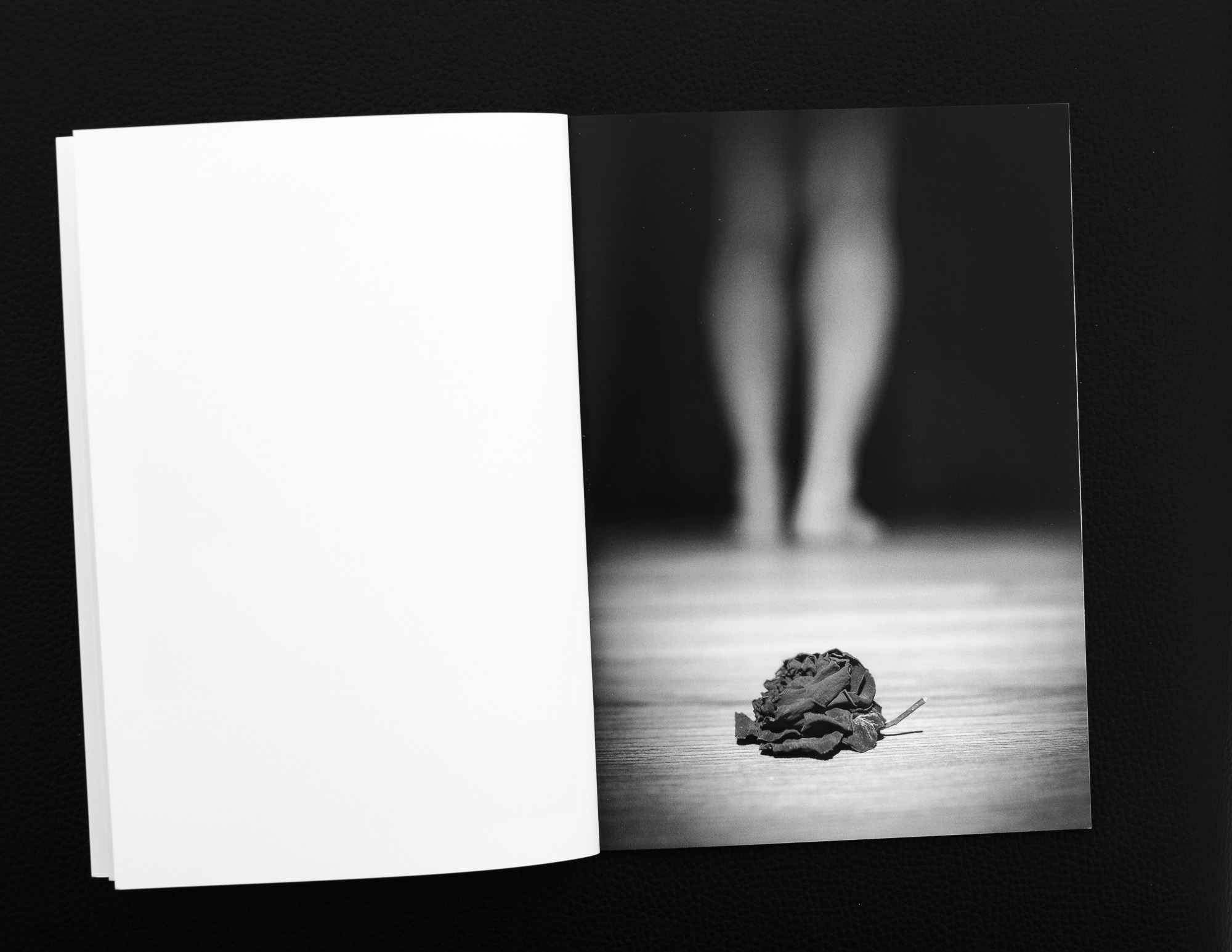 Portrait von Helmut Rüb