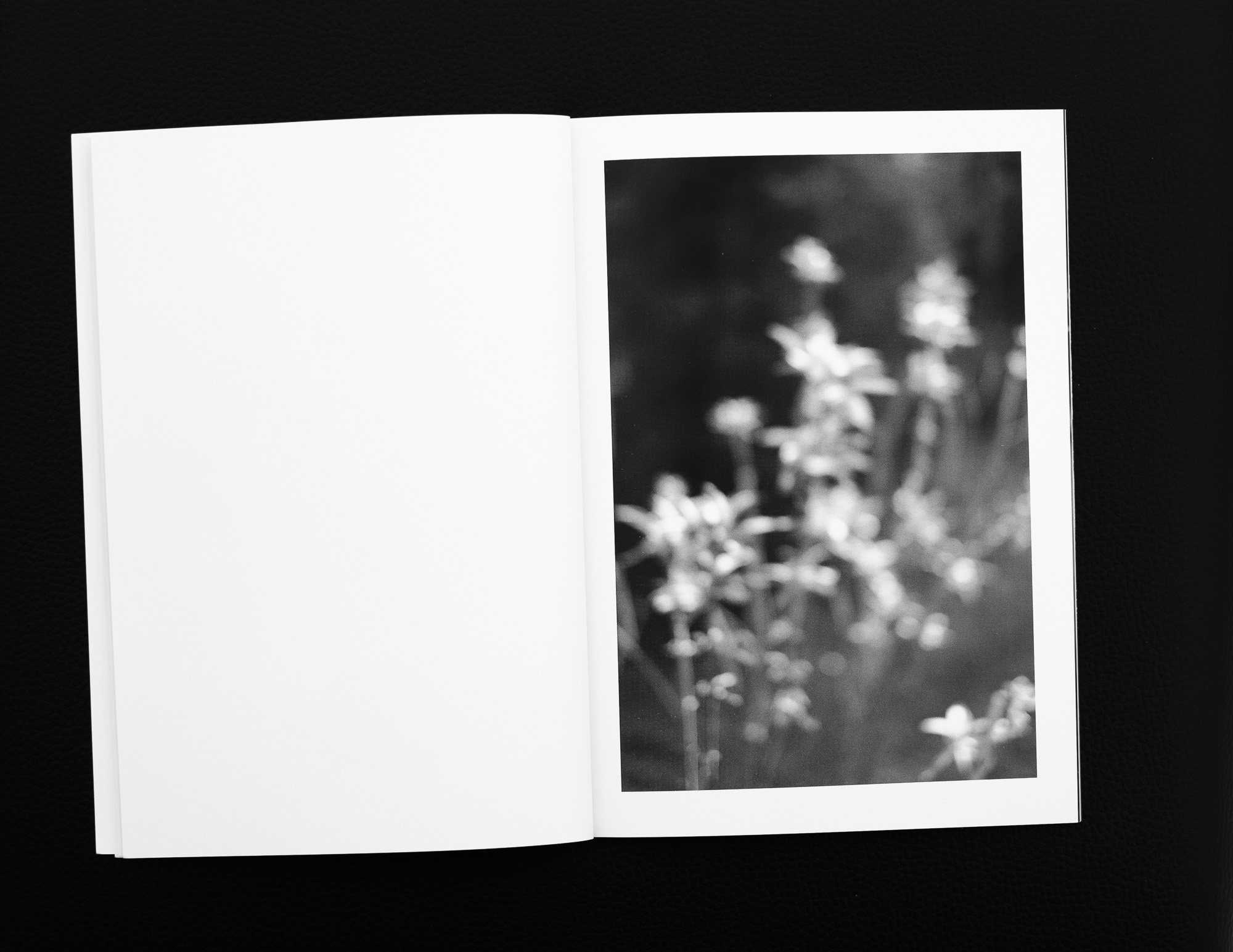 Portrait von Helmut Rüb